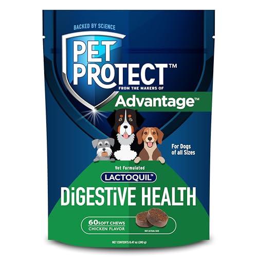 Pet Protect Digestive Health Supplement with Probiotics for Dogs, Vet-Formulated Lactoquil, Chicken-Flavored Soft Chews (60 Count) - Pet Protect