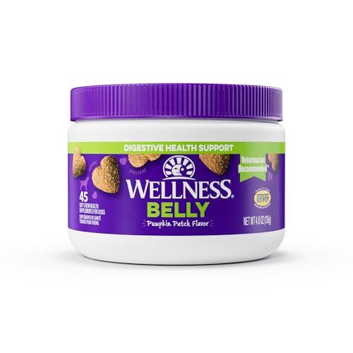Wellness Pumpkin Patch Flavored Soft Chew Digestive Health Supplements for Dogs, 45 Count - Wellness